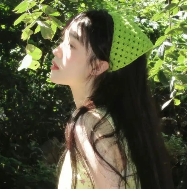 狮子彻夜未眠